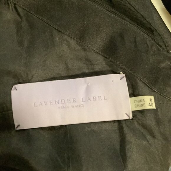 VERA WANG LAVENDER LABEL SILK TULLE SHEER BEADING DRESS - Picture 8 of 10